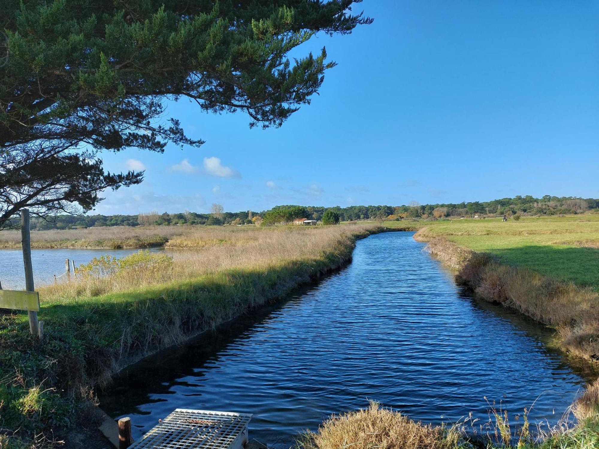 Studio La Salicorne Au Sables D'Olonne Ле-Сабль-д'Олонн Екстер'єр фото