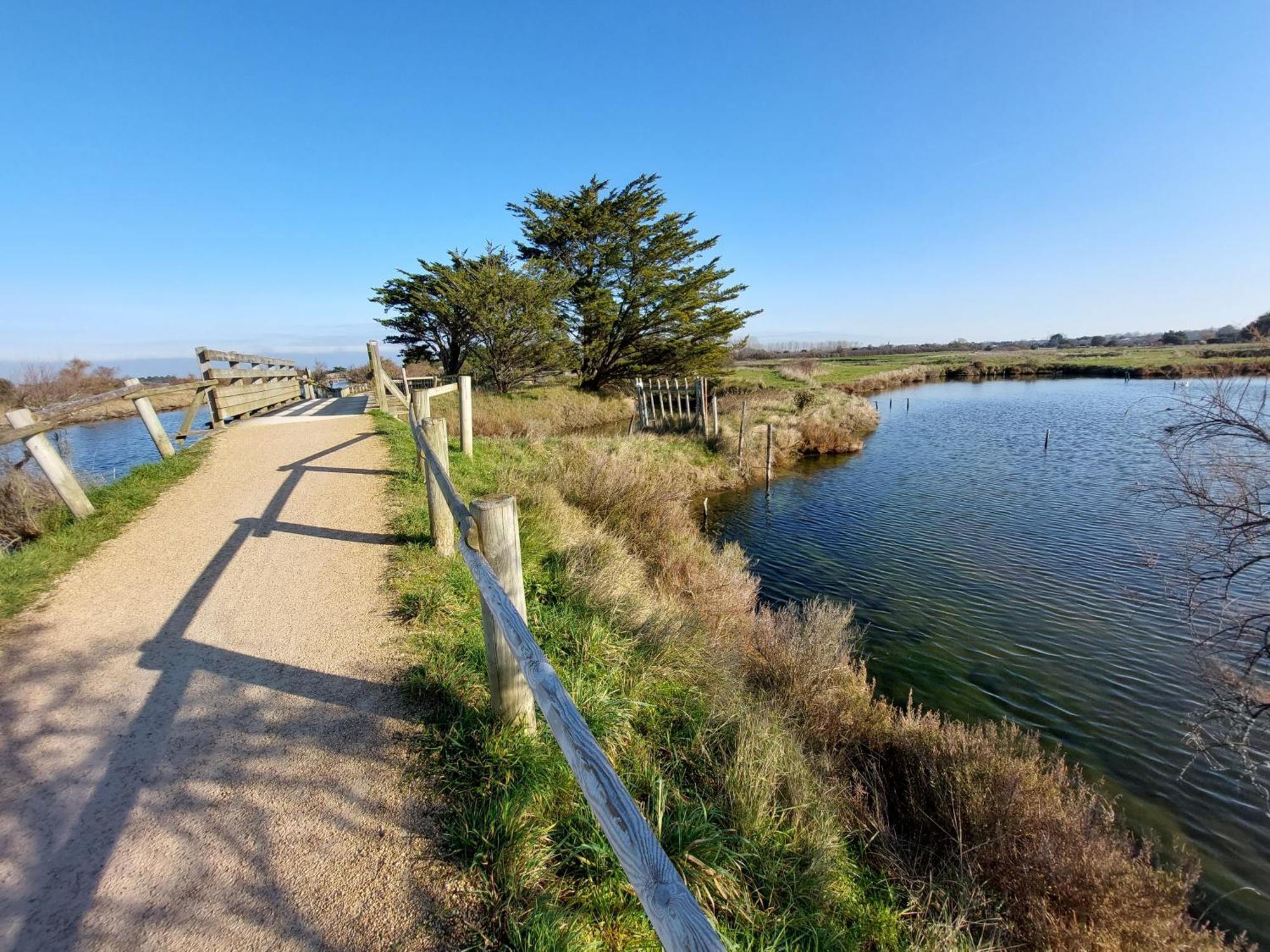 Studio La Salicorne Au Sables D'Olonne Ле-Сабль-д'Олонн Екстер'єр фото