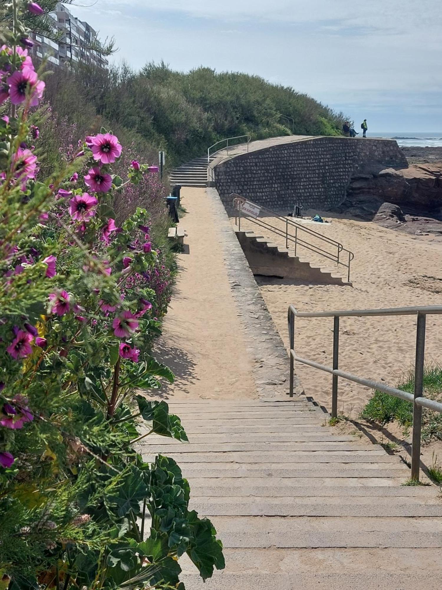 Studio La Salicorne Au Sables D'Olonne Ле-Сабль-д'Олонн Екстер'єр фото