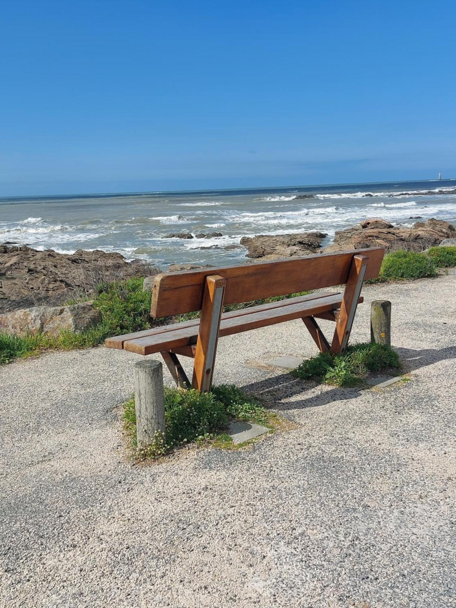 Studio La Salicorne Au Sables D'Olonne Ле-Сабль-д'Олонн Екстер'єр фото